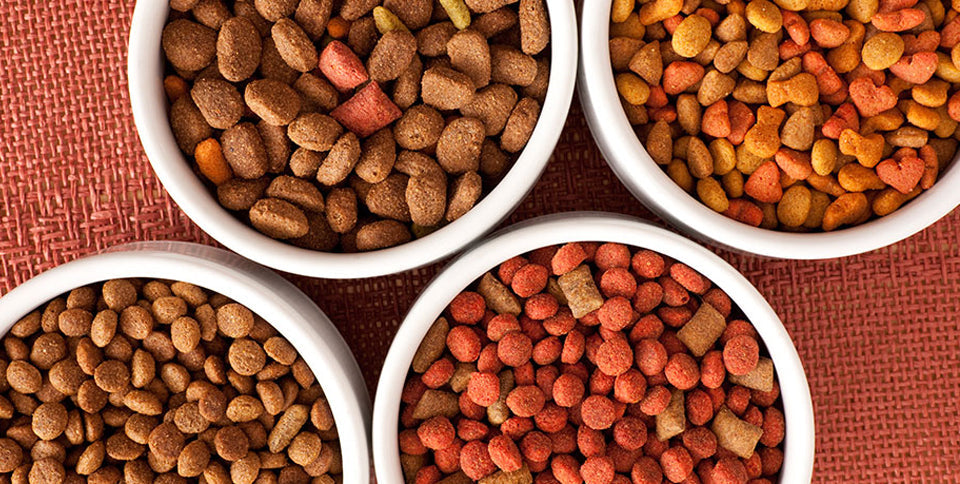 Kedi ve Köpeklerde Mama Değişimi