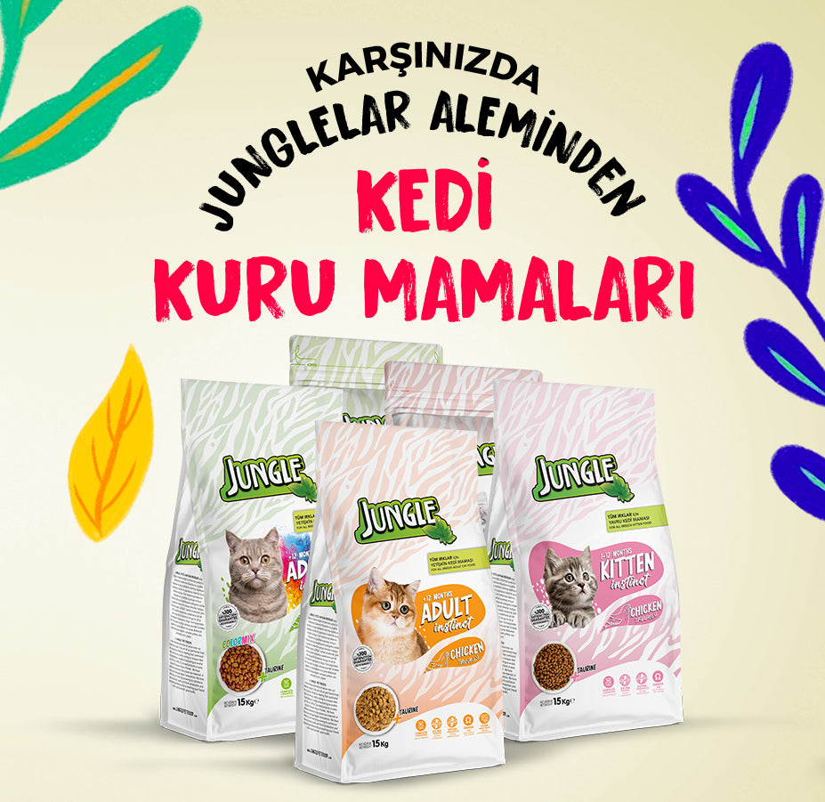 Jungle Pouch Somonlu Yetişkin Kedi Yaş Mama – Jungle Pet Food