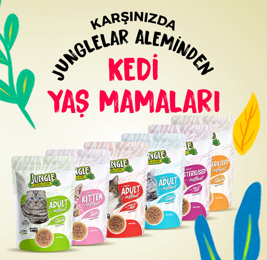 Jungle Pouch Somonlu Yetişkin Kedi Yaş Mama – Jungle Pet Food