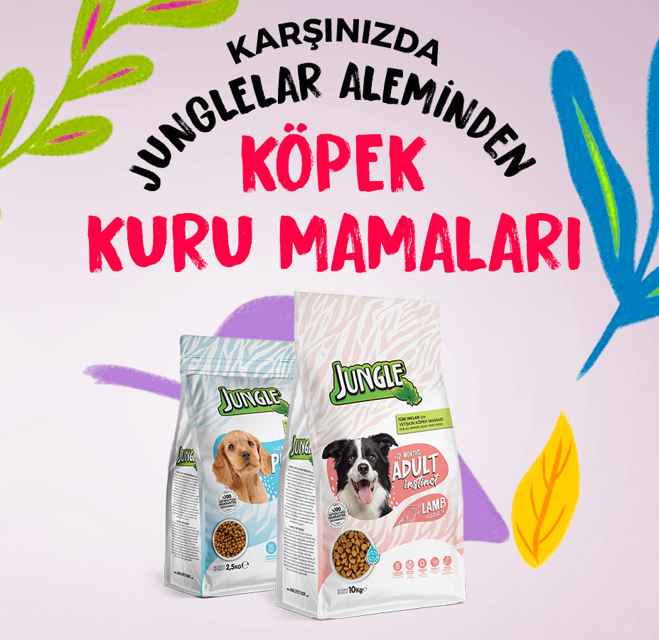 Köpek Kuru Mama