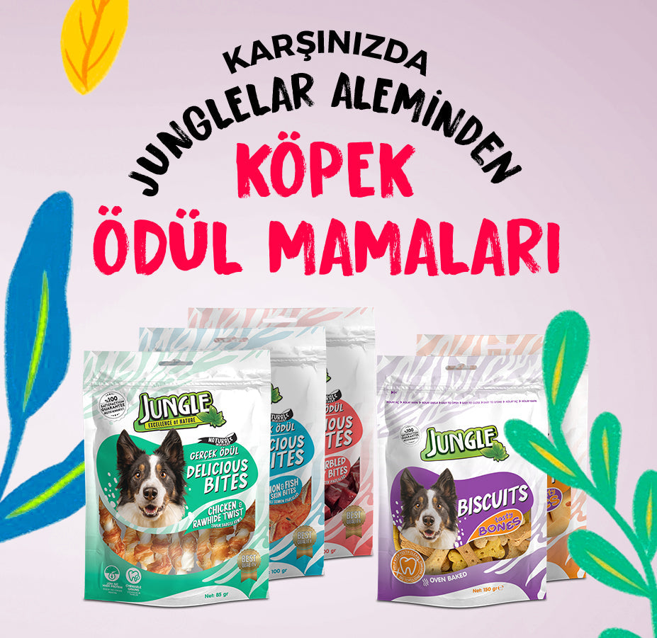 Köpek Ödül Mamaları