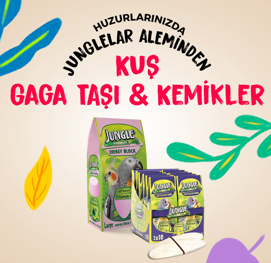 Gaga Taşı ve Kemikler