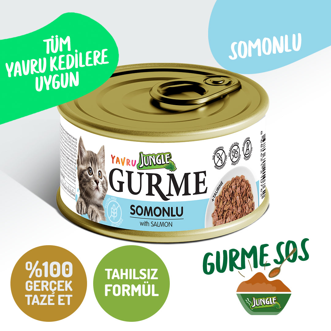 Jungle Gurme Soslu Somonlu Yavru Kedi Yaş Maması