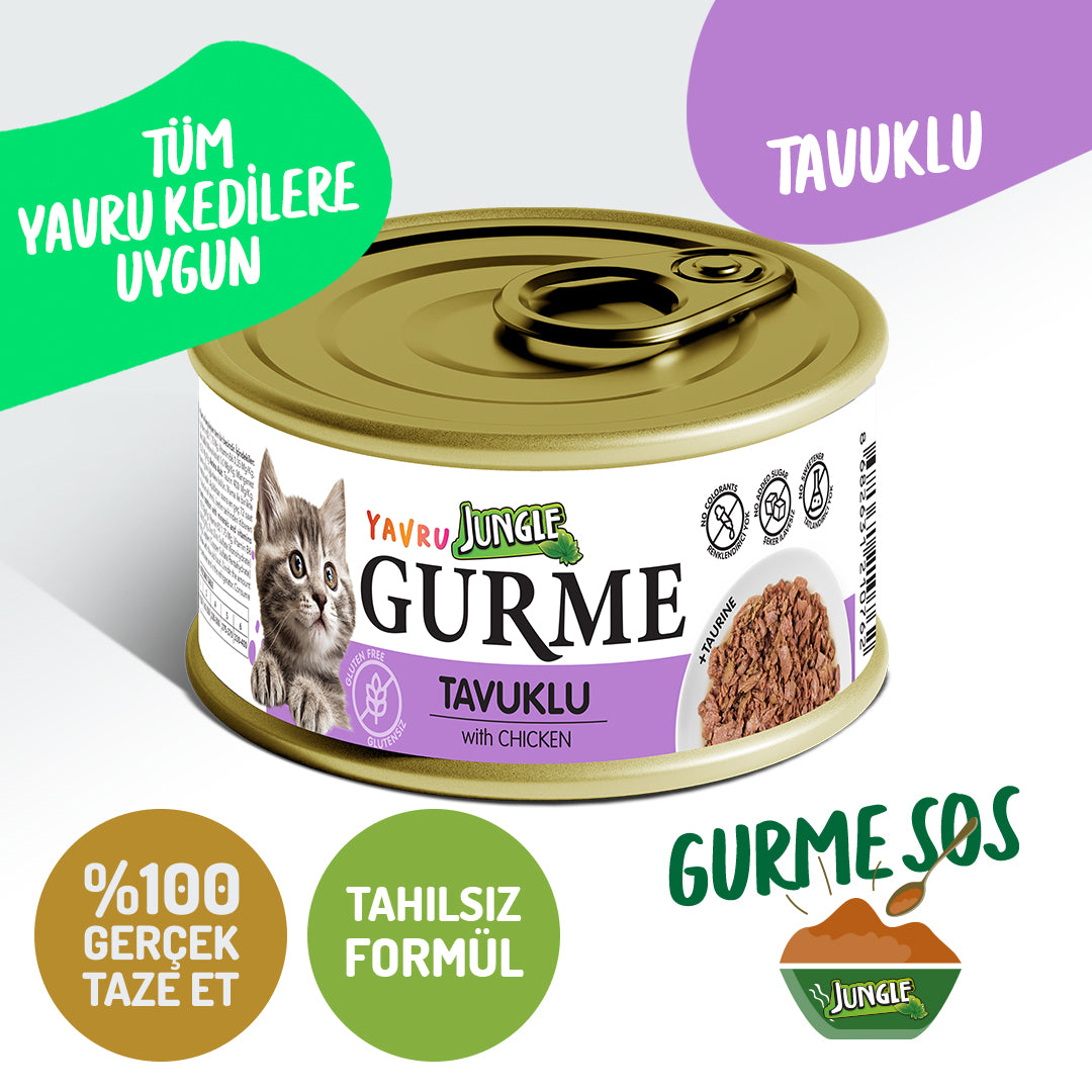 Jungle Gurme Soslu Tavuklu Yavru Kedi Yaş Maması