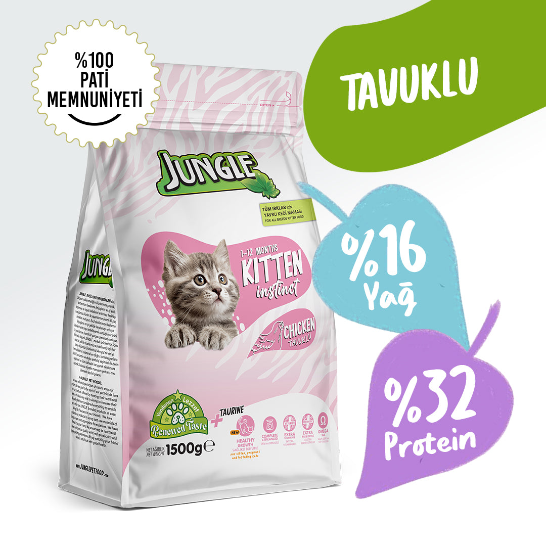 Jungle Tavuklu Yavru Kedi Maması 1500gr