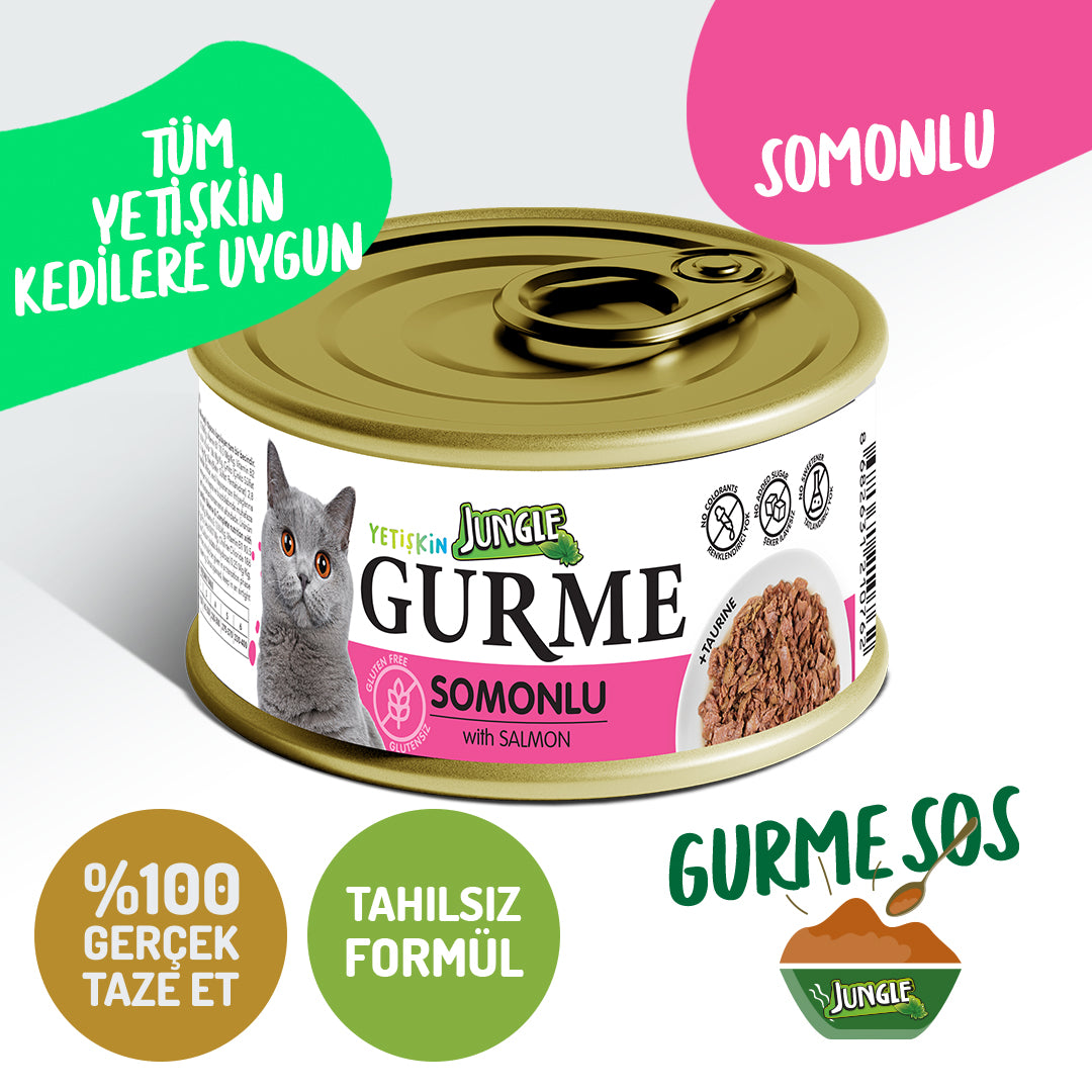 Jungle Gurme Soslu Somonlu Yetişkin Kedi Yaş Maması