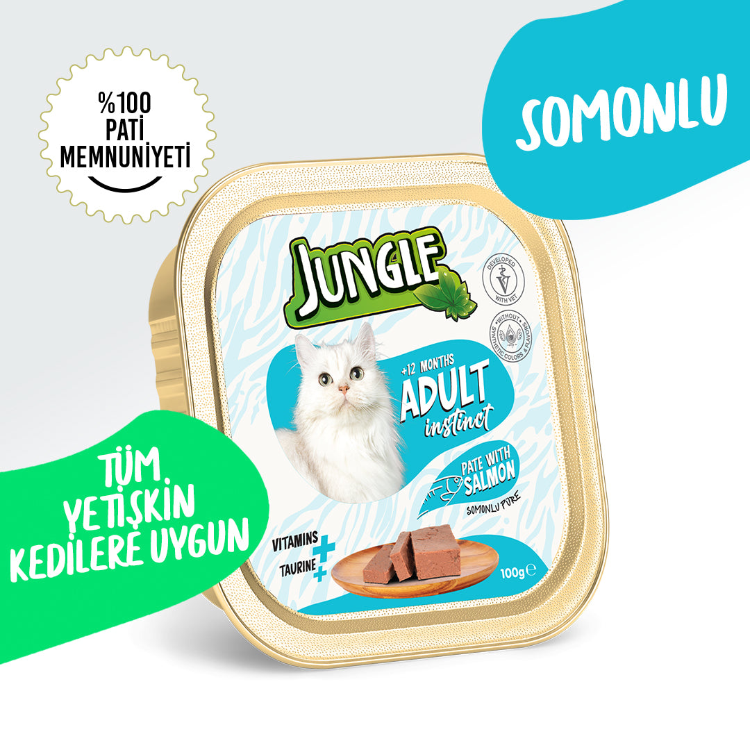 Jungle Somonlu Kedi Ezme Pate Mama