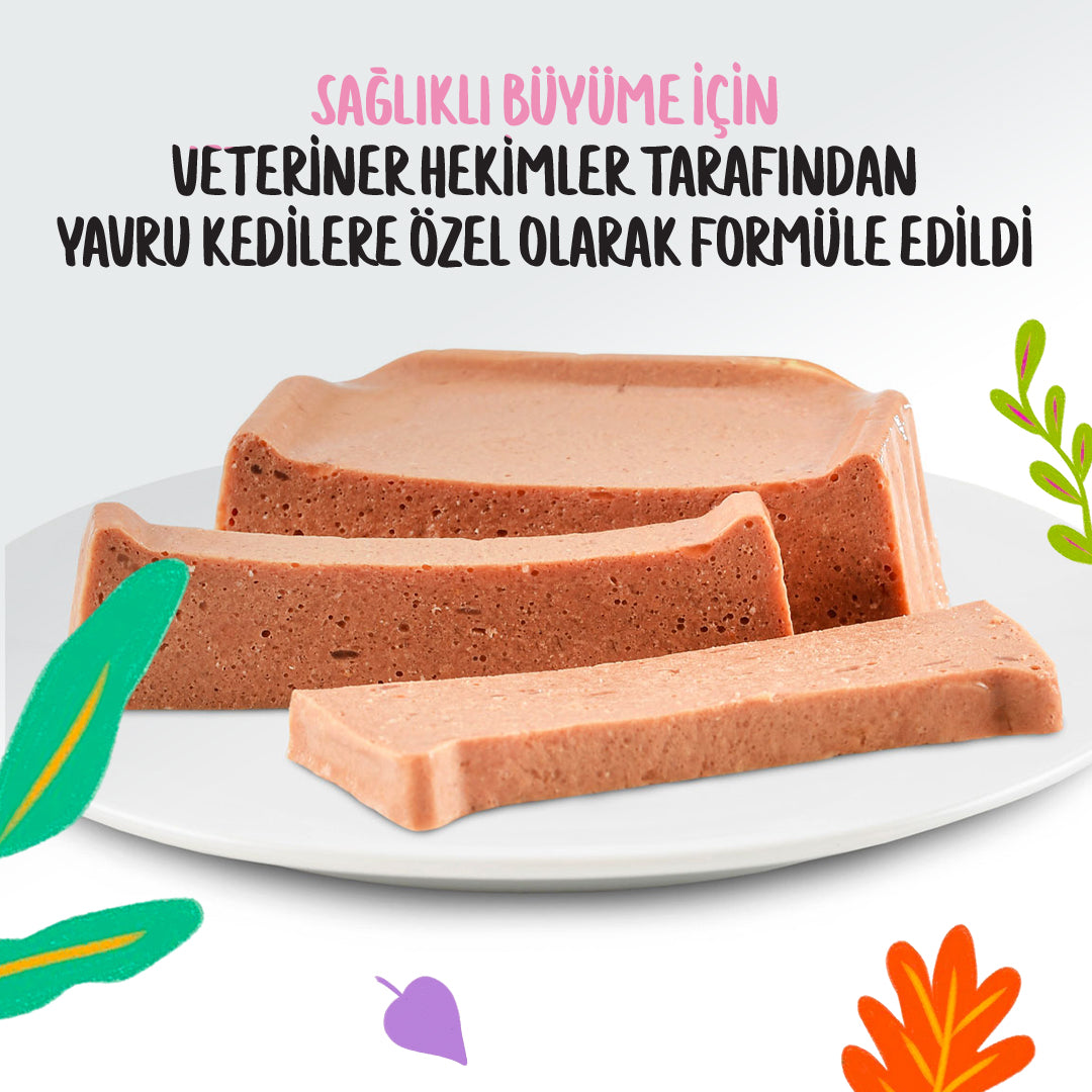 Jungle Sütlü Tavuklu Yavru Kedi Ezme Pate Mama