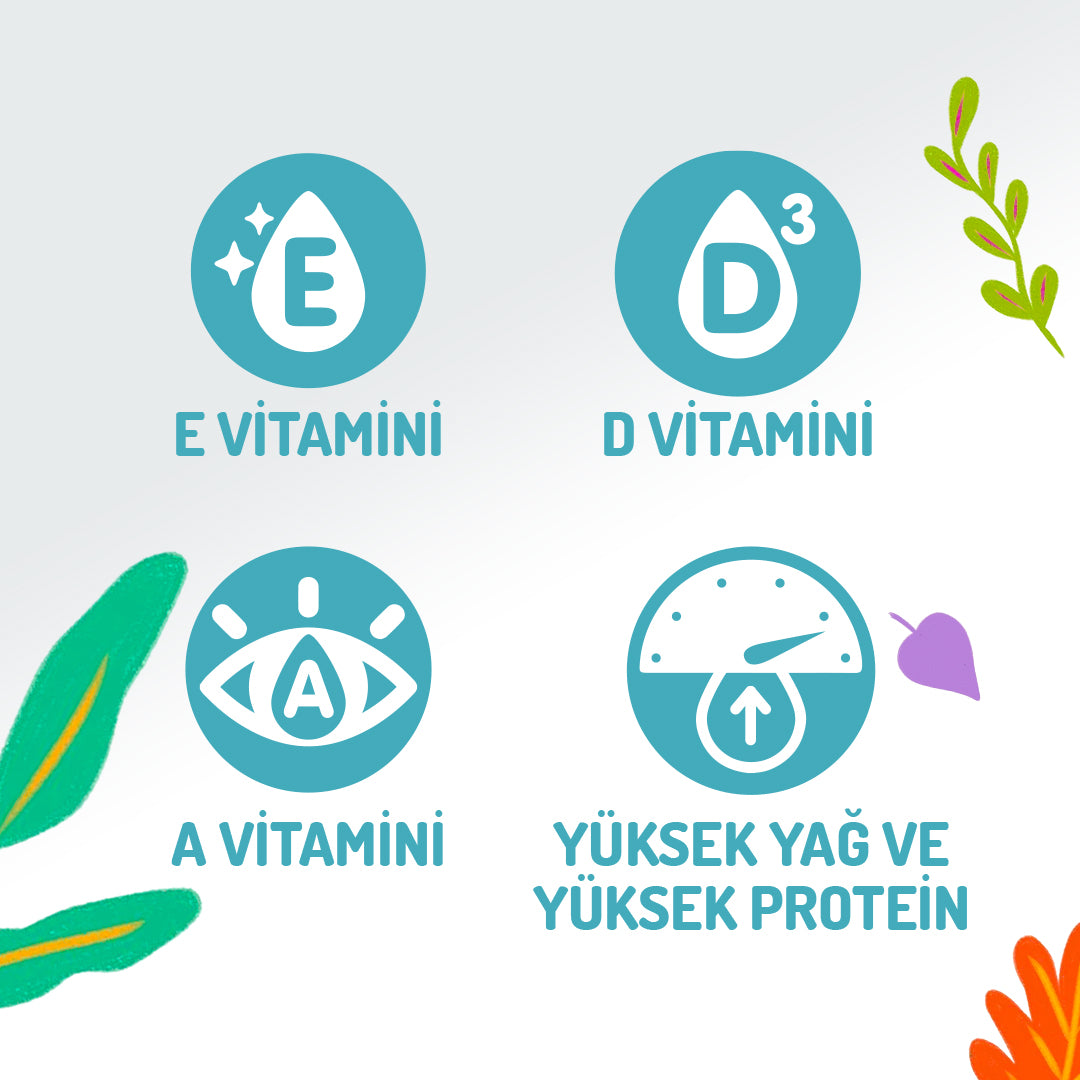 Jungle Somonlu Kedi Stick Ödül Maması