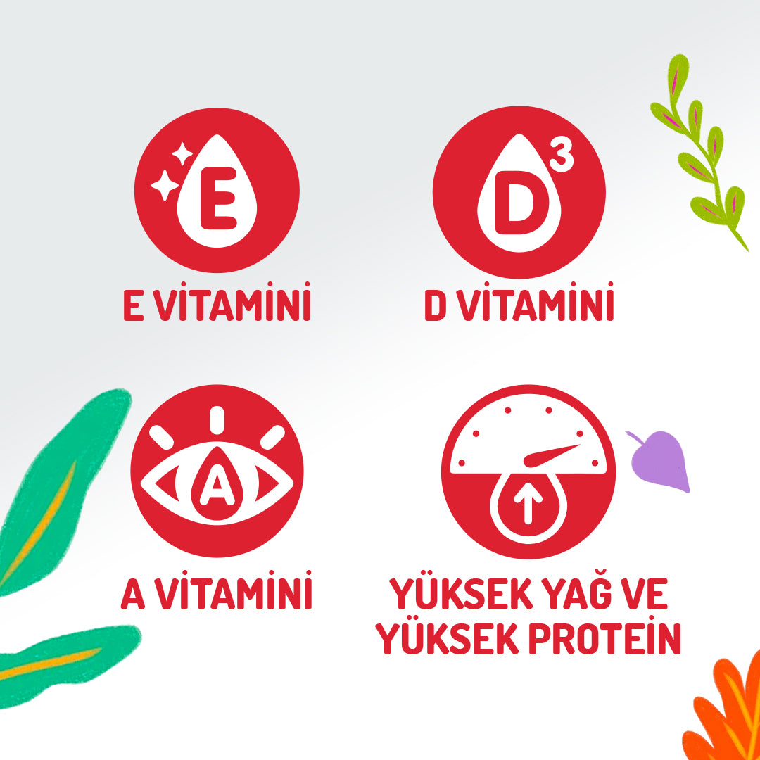 Jungle Dana Etli Kedi Stick Ödül Maması