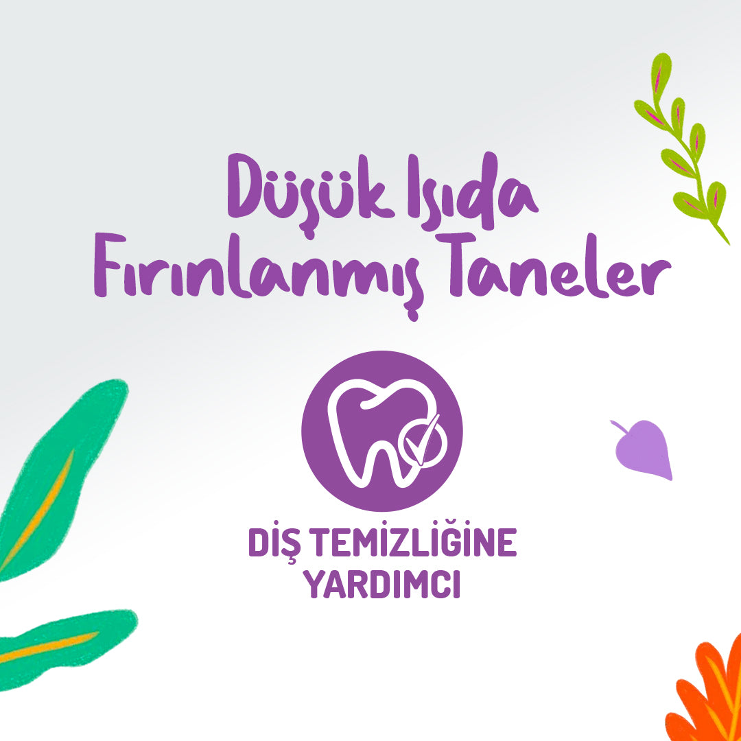 Jungle Lower Mix Köpek Köpek Ödül Bisküvisi