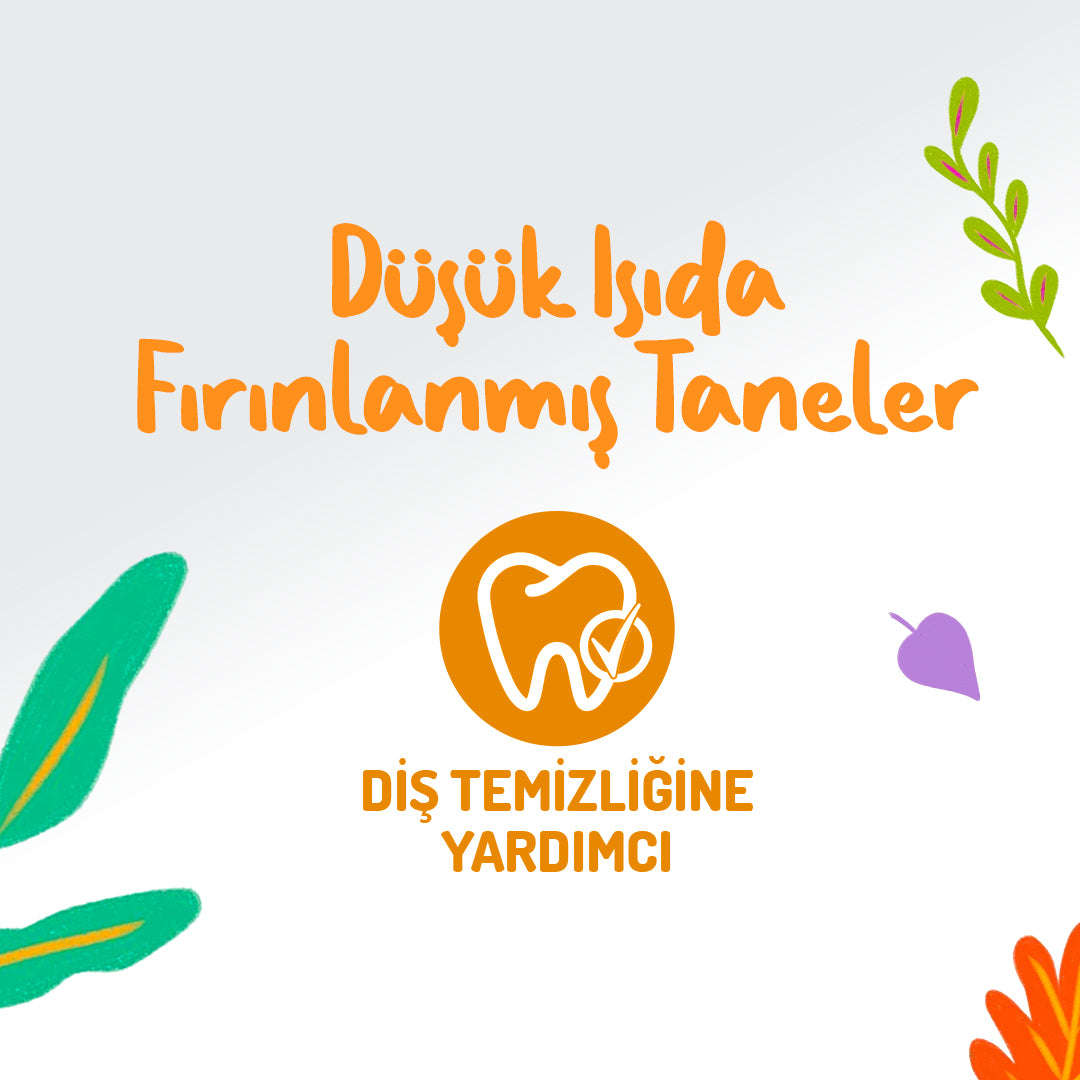 Jungle Junior Mix Köpek Ödül Bisküvisi