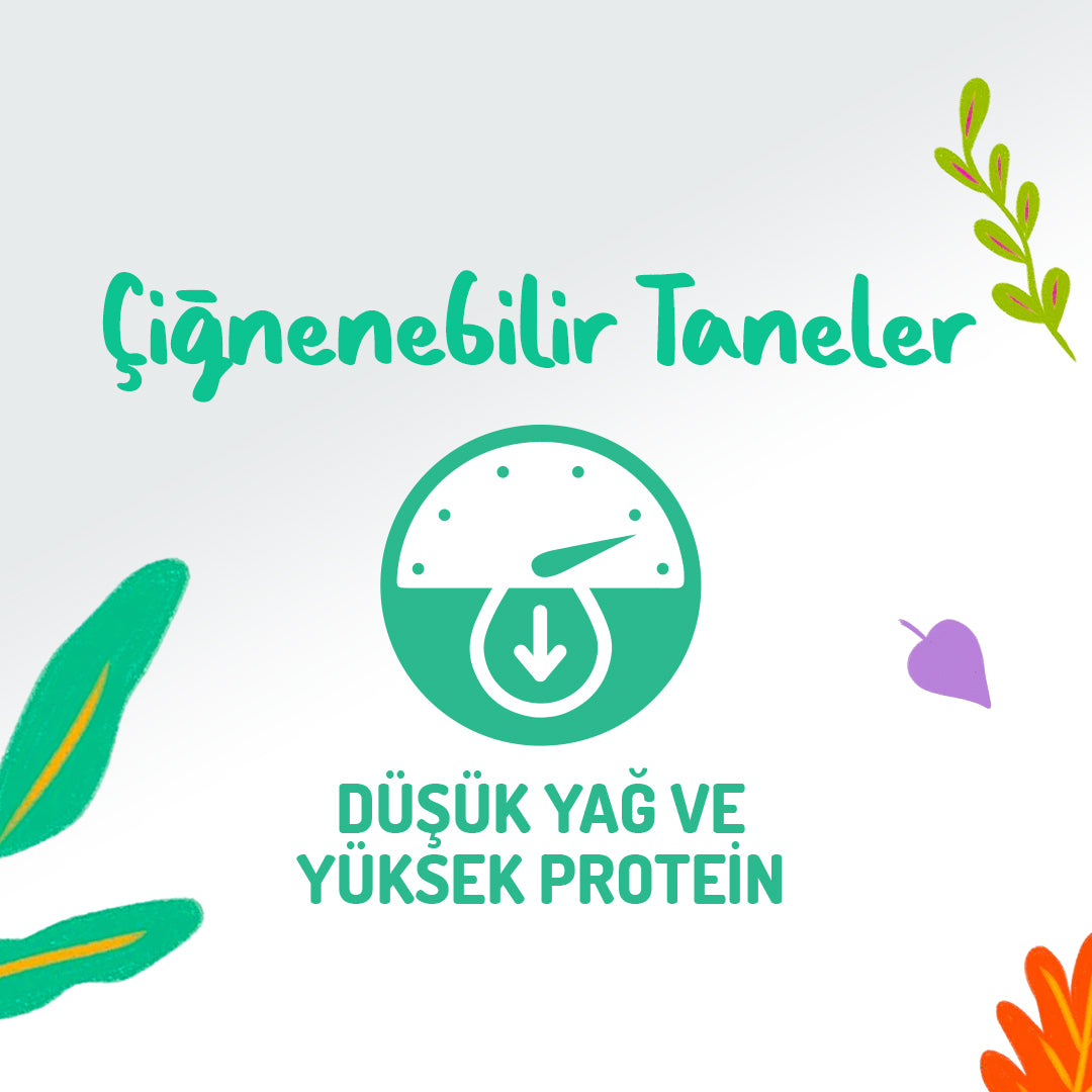 Jungle Tavuk Derili Köpek Ödül Maması