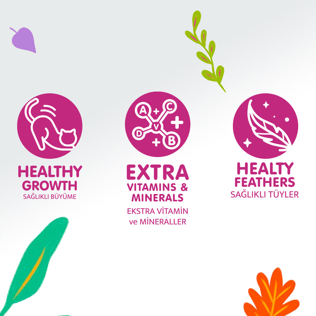 Jungle Pouch Kısır Kedi Biftekli Yaş Mama