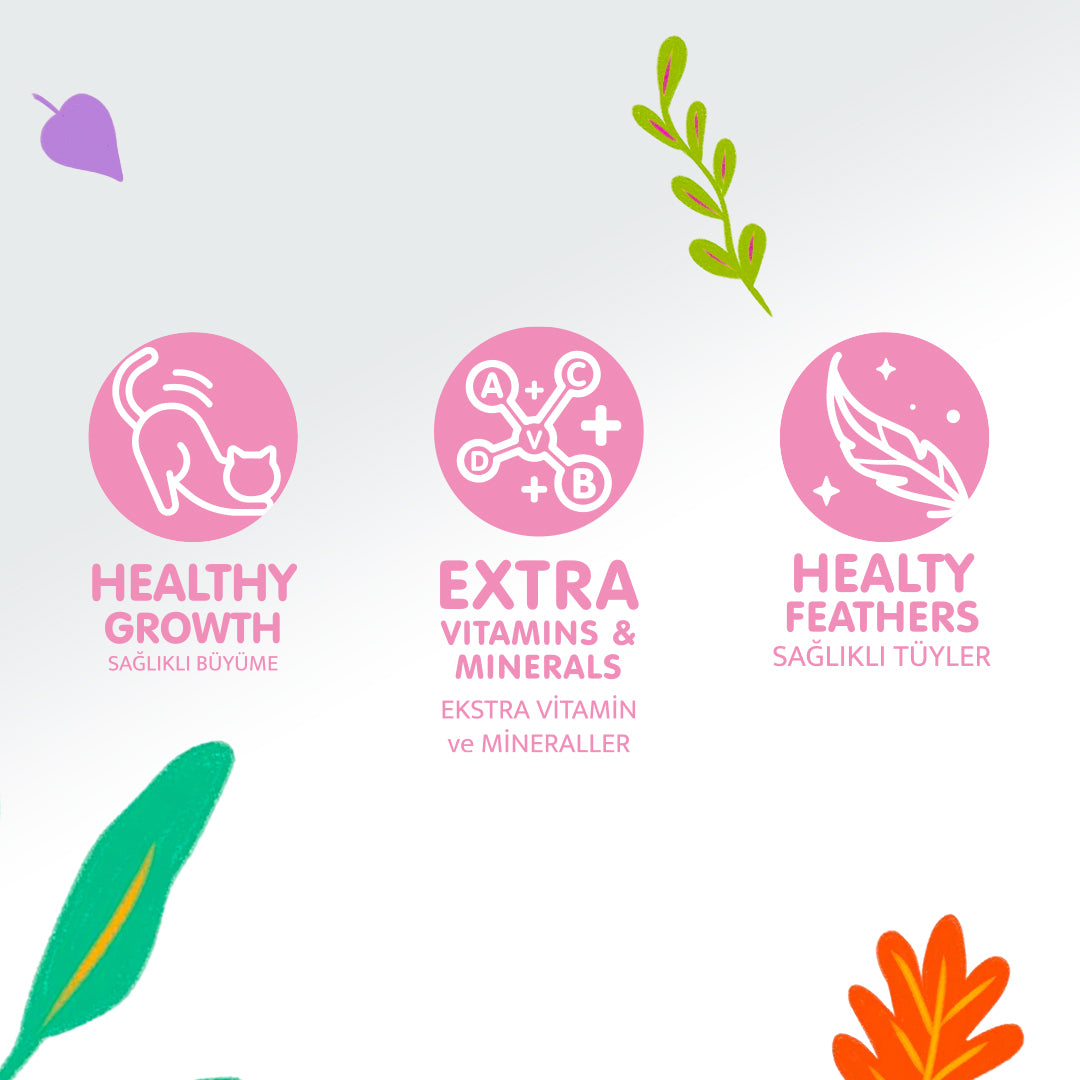 Jungle Pouch Yavru Kedi Tavuklu Yaş Mama