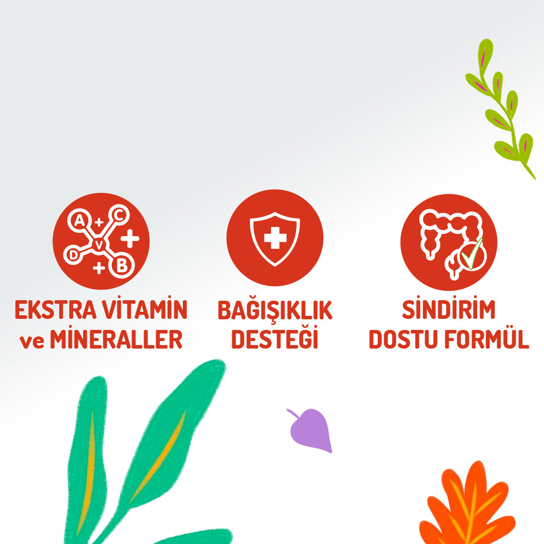 Jungle Sığır Etli Soslu Yetişkin Kedi Konservesi