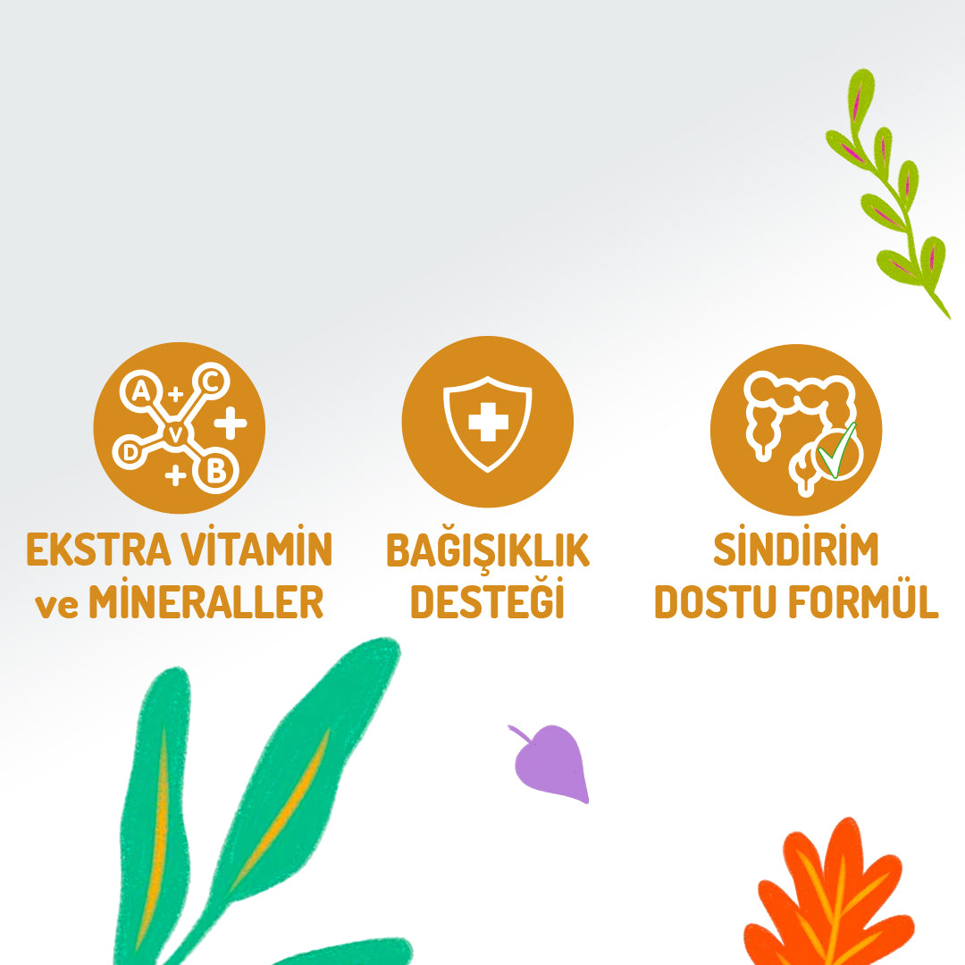 Jungle Somonlu ve Karidesli Soslu Yetişkin Kedi Konservesi