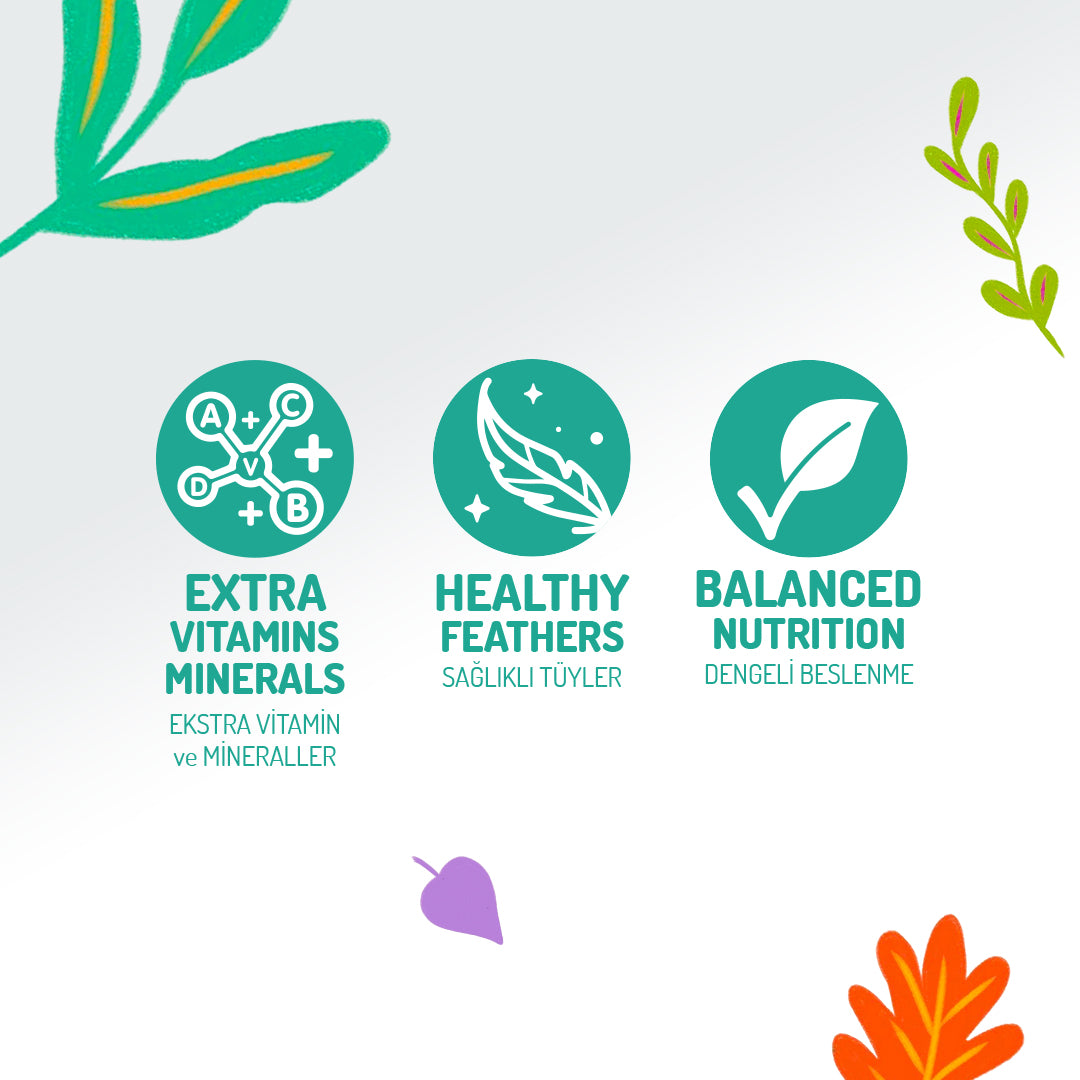 Jungle Biftekli ve Sebzeli Soslu Yetişkin Köpek Konservesi