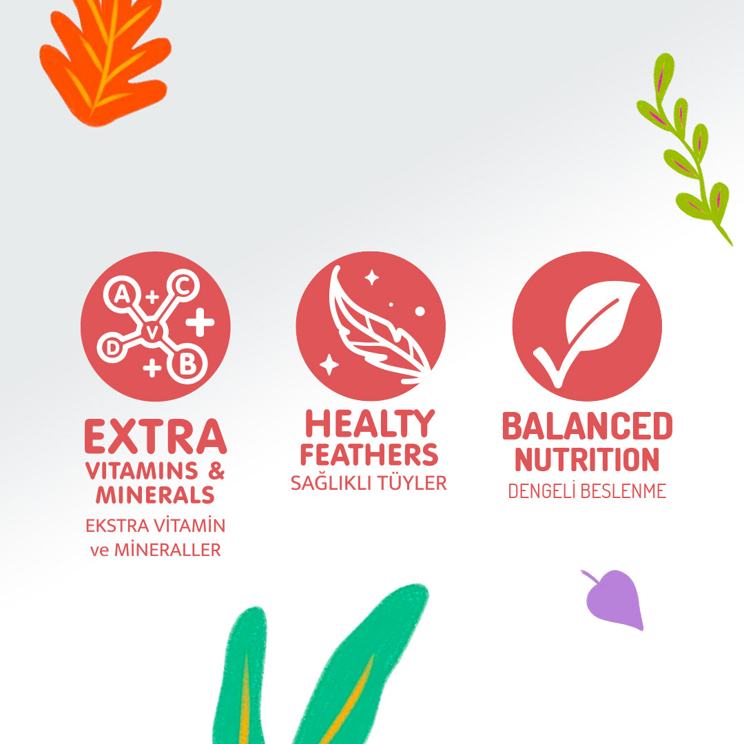 Jungle Kuzulu ve Av Hayvanlı Soslu Yetişkin Köpek Konservesi