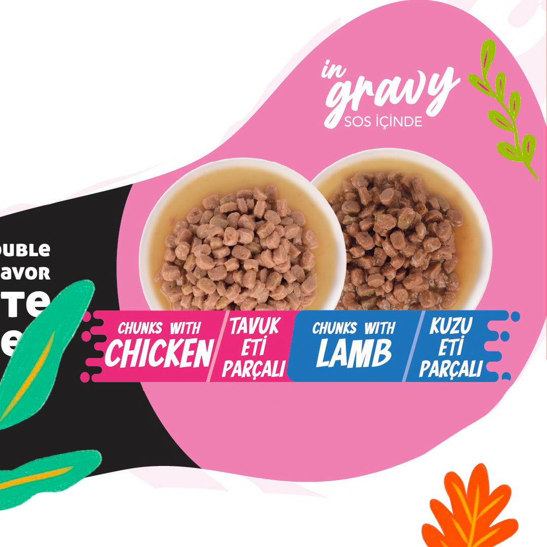 Jungle Yavru Kedi 2+2 Jöleli Tavuk & Kuzu Etli Yaş Mama