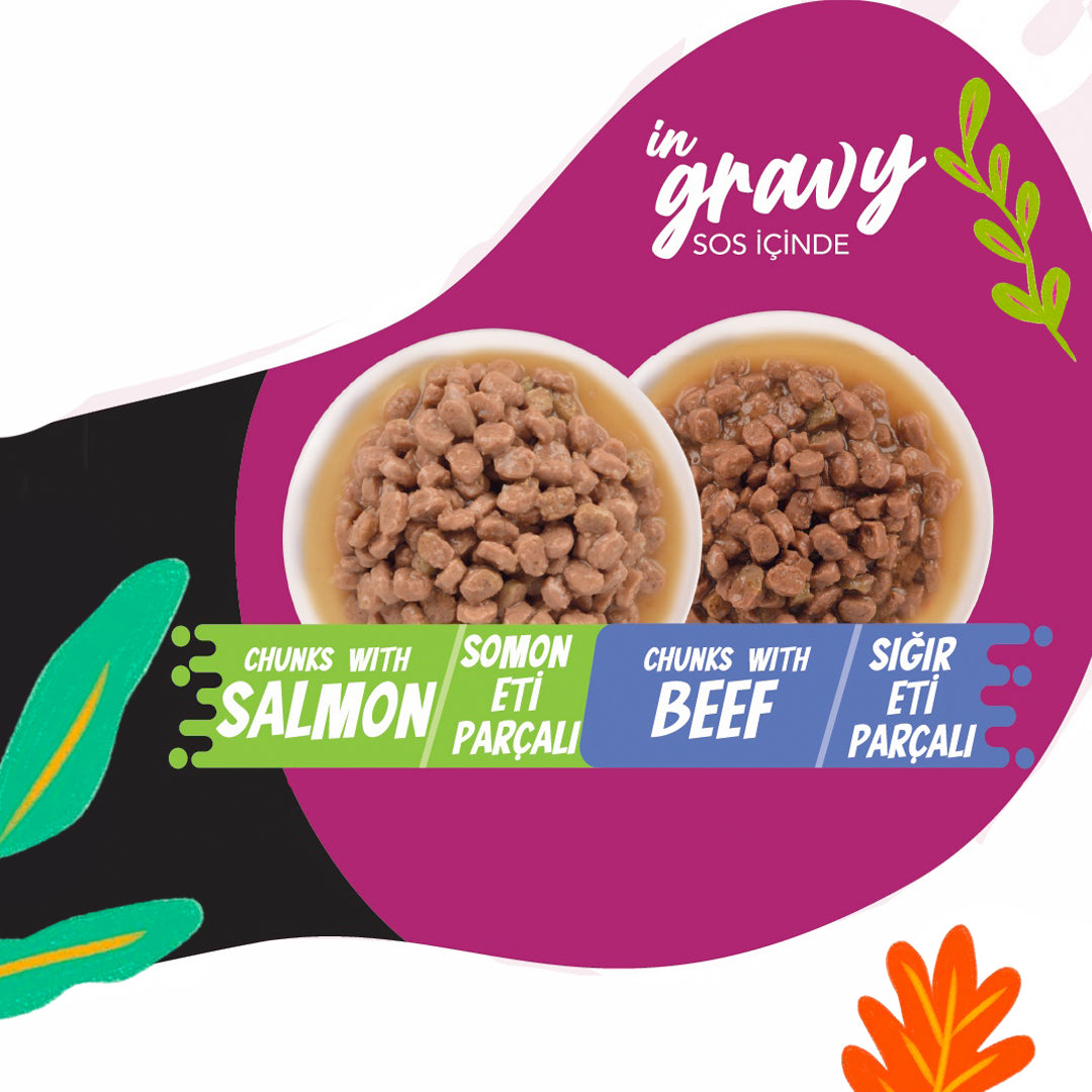 Jungle Kısırlaştırılmış Kedi 2+2 Jöleli Somon & Sığır Etli Yaş Mama