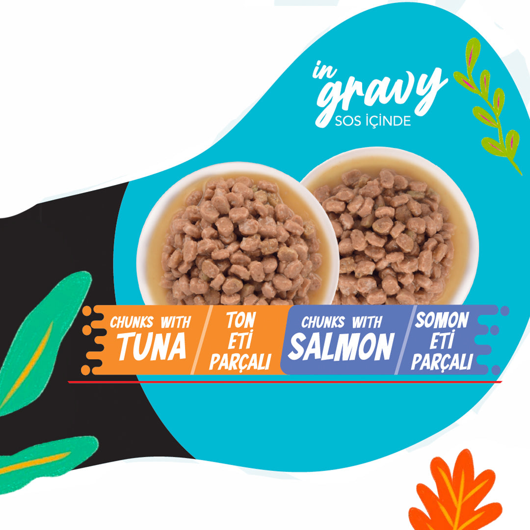 Jungle Yetişkin Kedi 2+2 Jöleli Somon & Ton Balıklı Yaş Mama