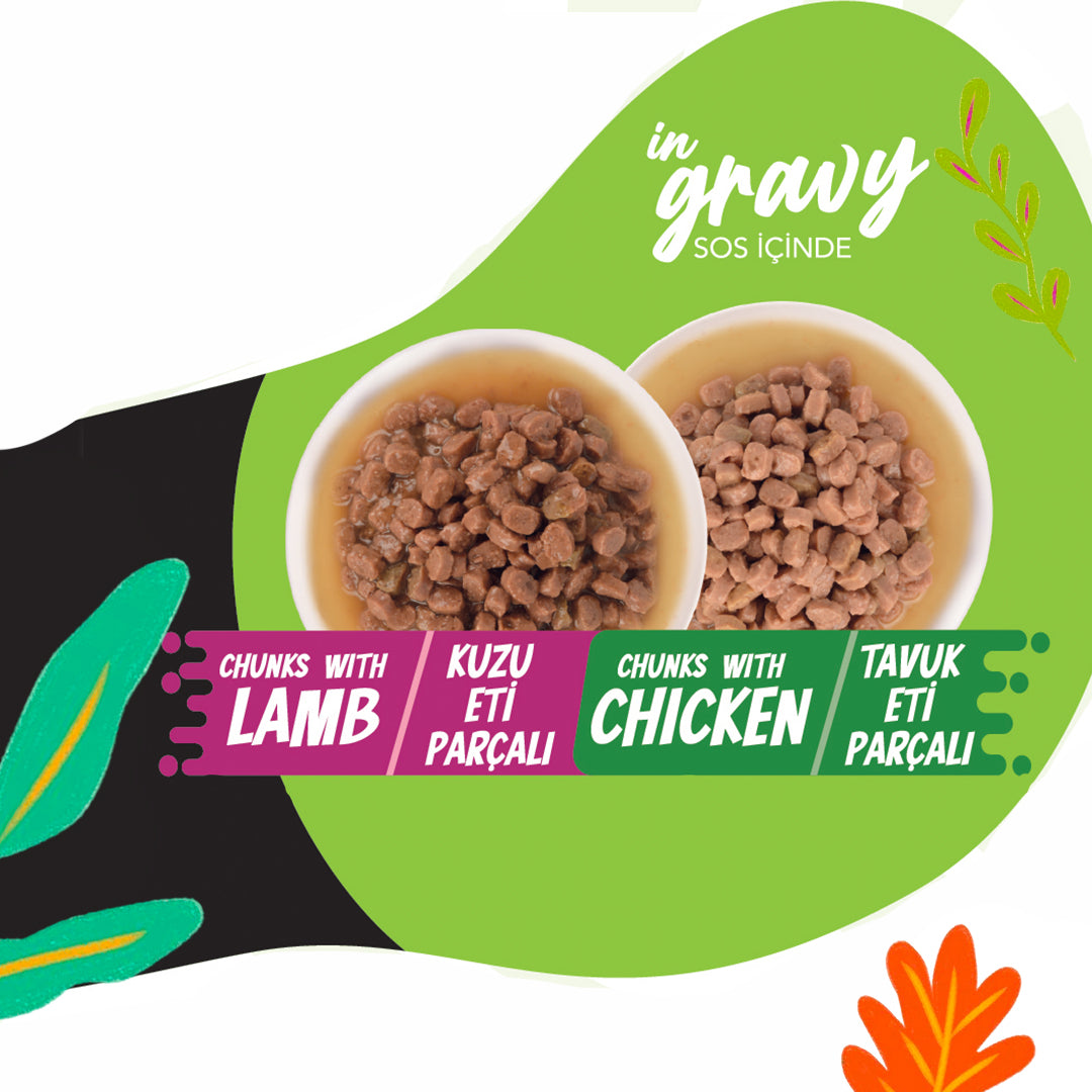 Jungle Yetişkin Kedi 2+2 Jöleli Kuzulu & Tavuklu Yaş Mama