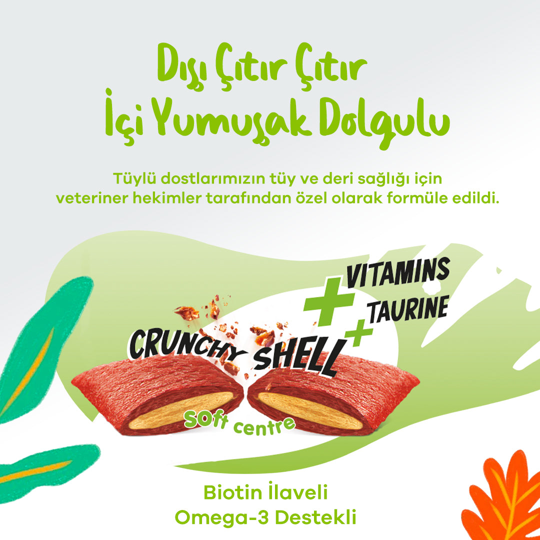 Jungle Crunch Deri ve Tüy Bakımı Kedi Ödül Maması