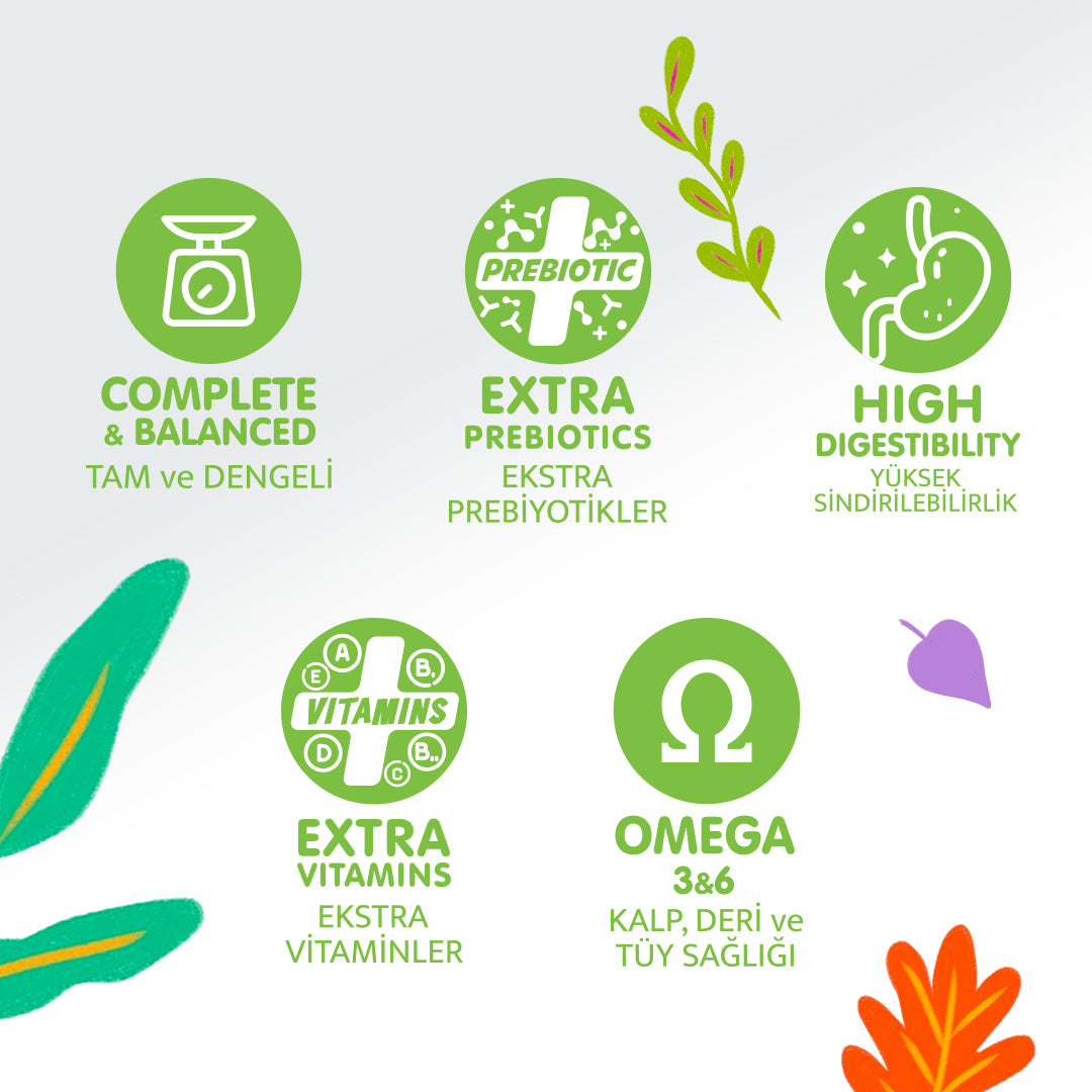 Jungle Tavuklu Yetişkin Kedi Maması