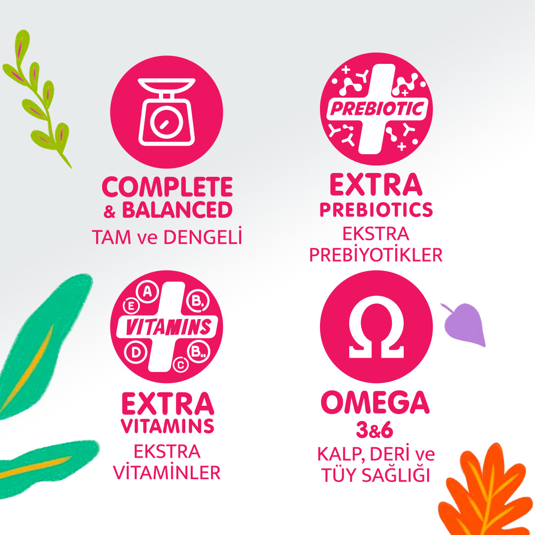 Jungle Köpek Sevgi Maması