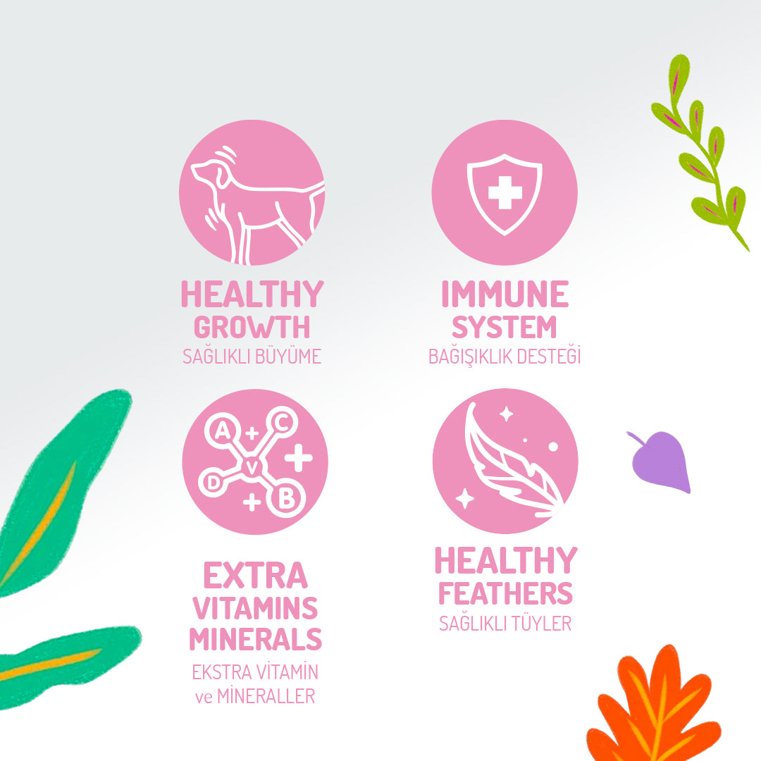 Jungle Tavuklu Soslu Yavru Kedi Konservesi