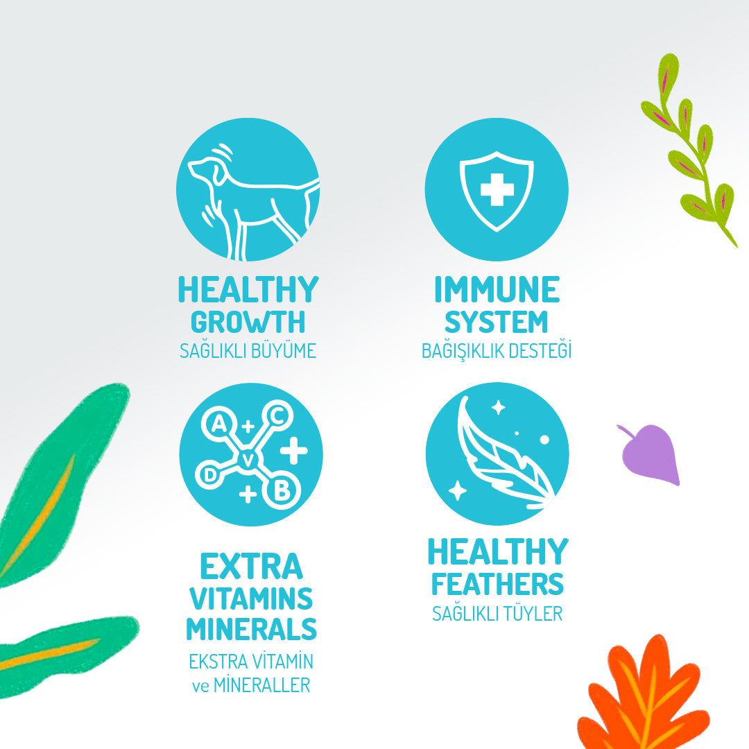 Jungle Tavuklu Soslu Yavru Köpek Konservesi