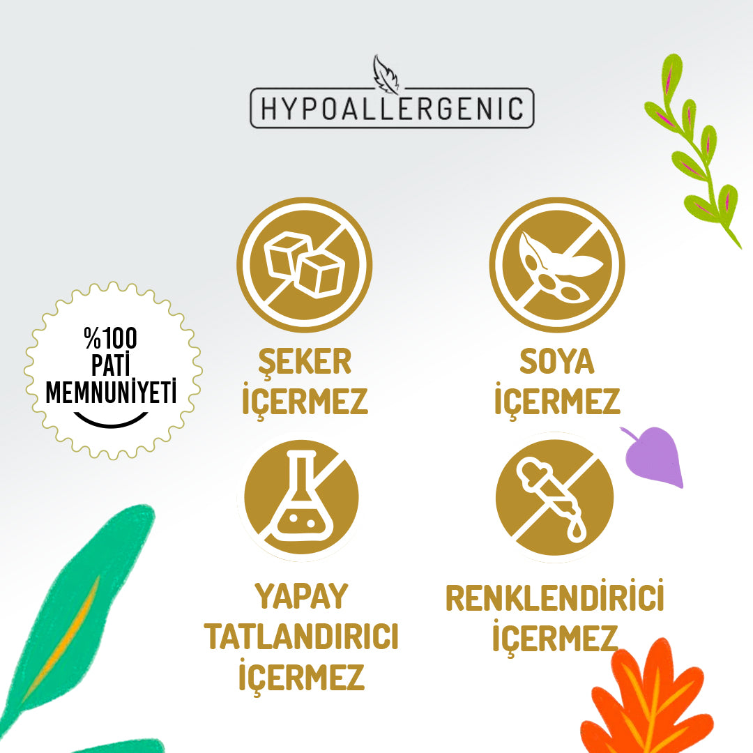 Jungle Selection Somon ve Tiftiklenmiş Tavuk Göğsü Kedi Yaş Maması