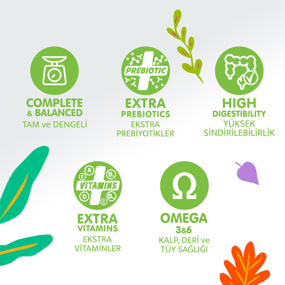 Jungle Kedi Sevgi Maması