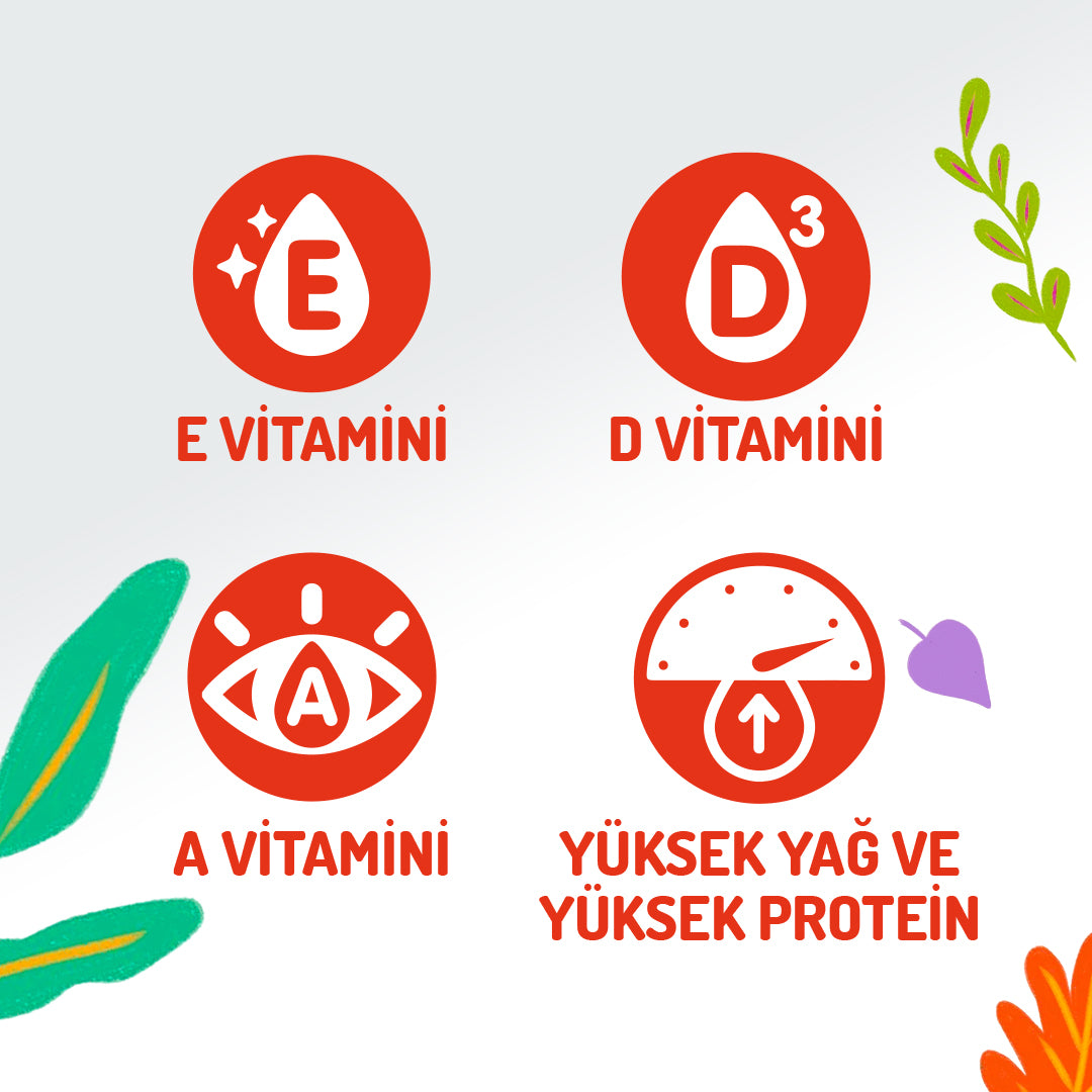 Jungle Dana Etli Köpek Ödül Çubukları