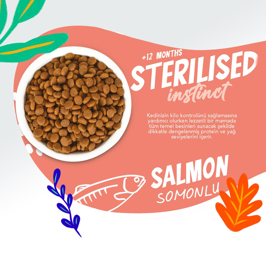Jungle Somonlu Kısırlaştırılmış Yetişkin Kedi Maması