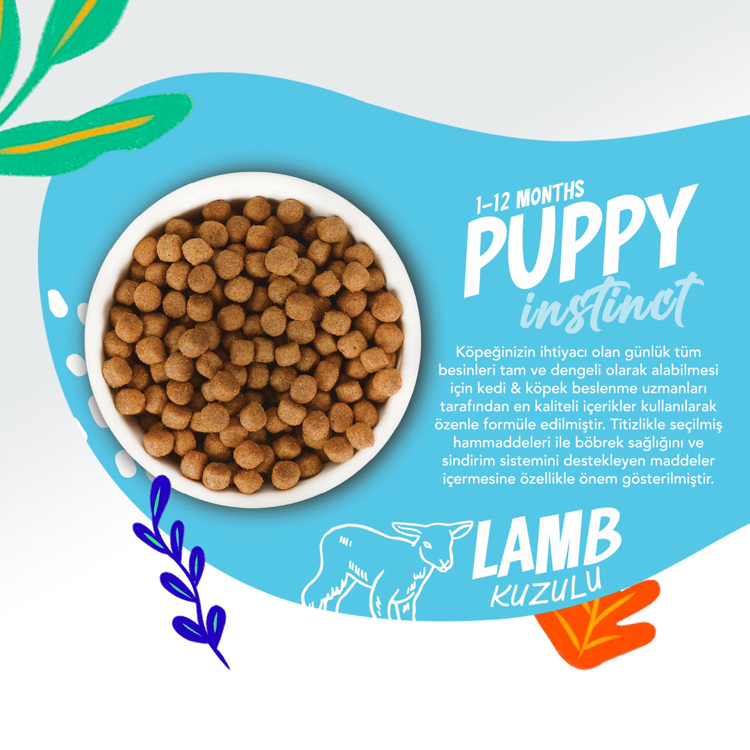 Jungle Kuzu Etli Yavru Köpek Maması 15 KG