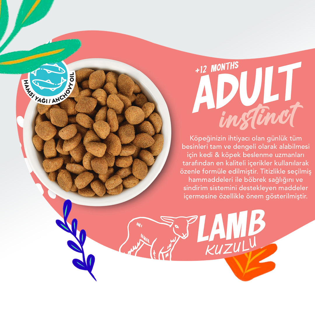 Jungle Kuzu Etli Yetişkin Köpek Maması 15 KG