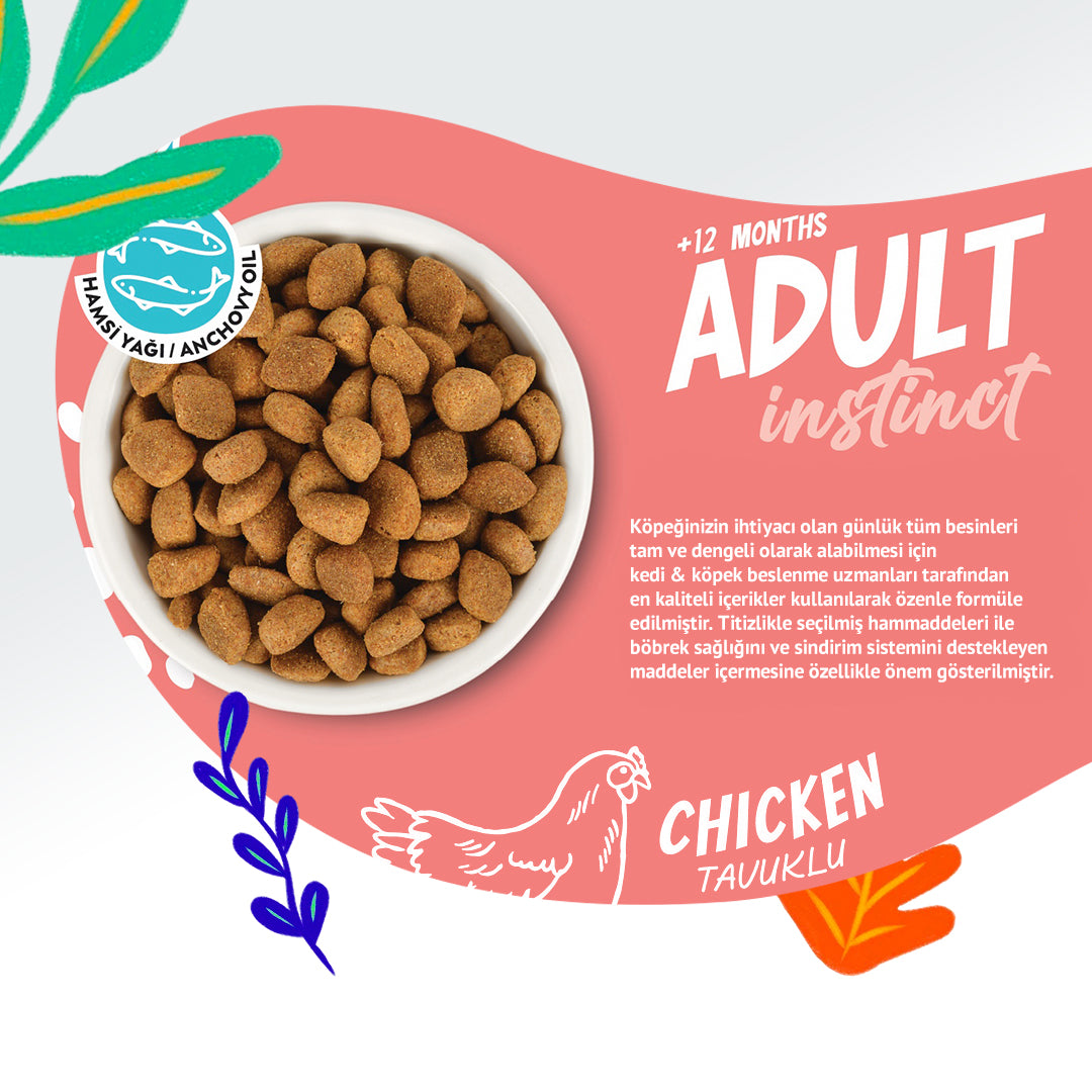 Jungle Tavuklu Yetişkin Köpek Maması 15KG