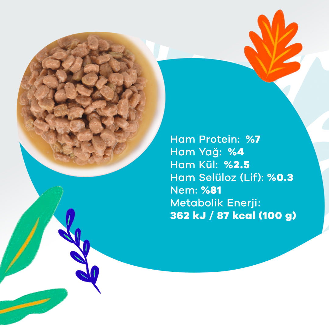 Jungle Pouch Somonlu Yetişkin Kedi Yaş Mama – Jungle Pet Food