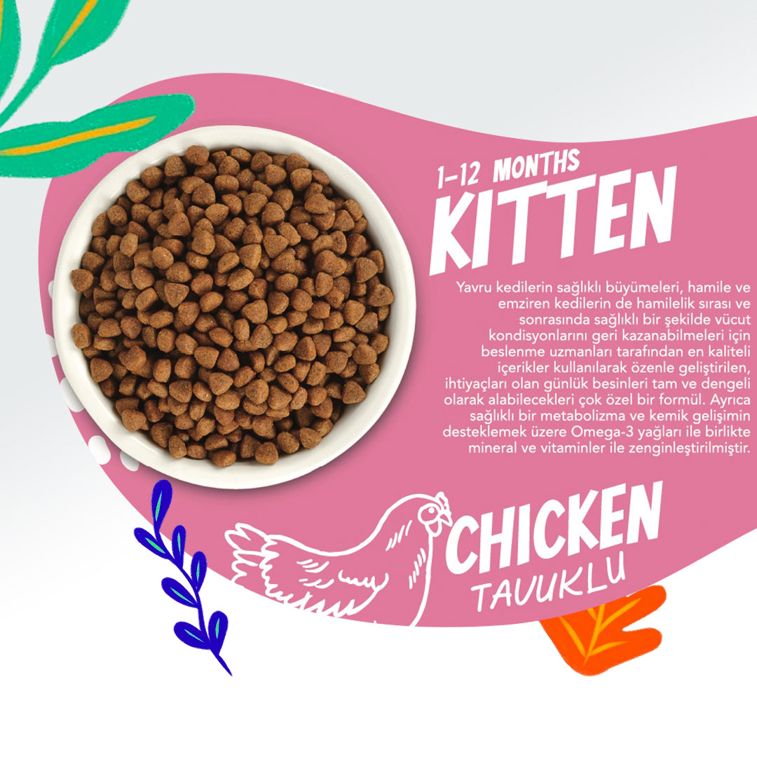 Jungle Tavuklu Yavru Kedi Maması 15KG