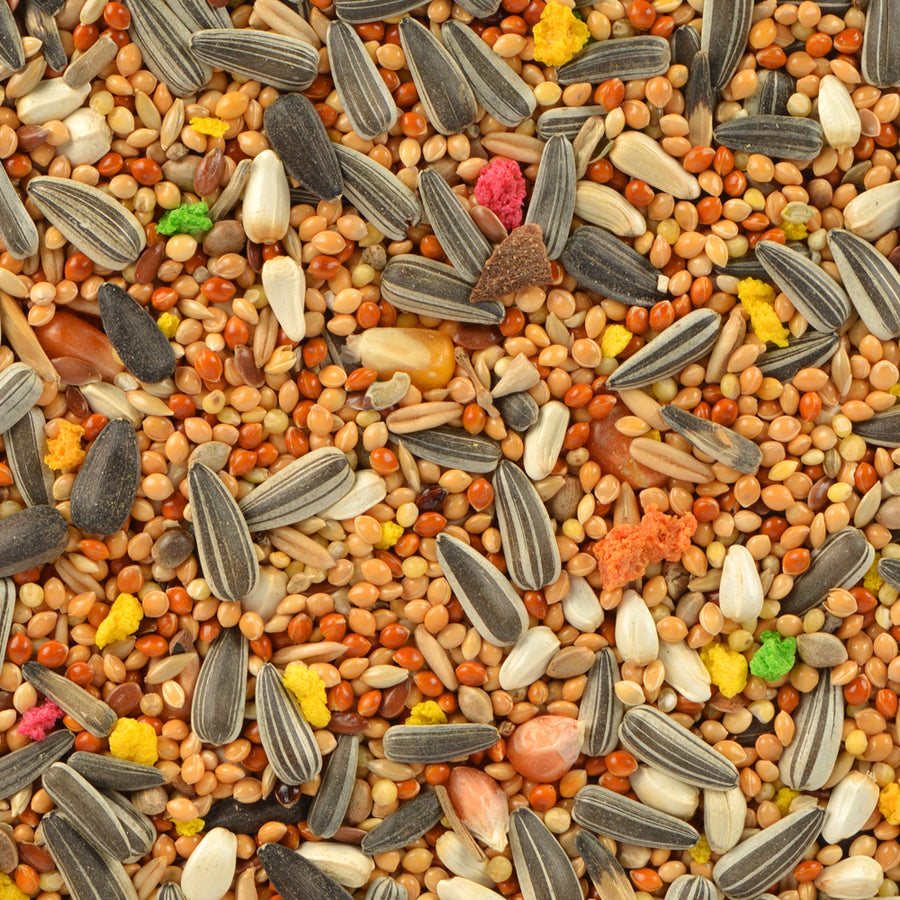 Jungle Paraket Kuş Yemi 500 gr